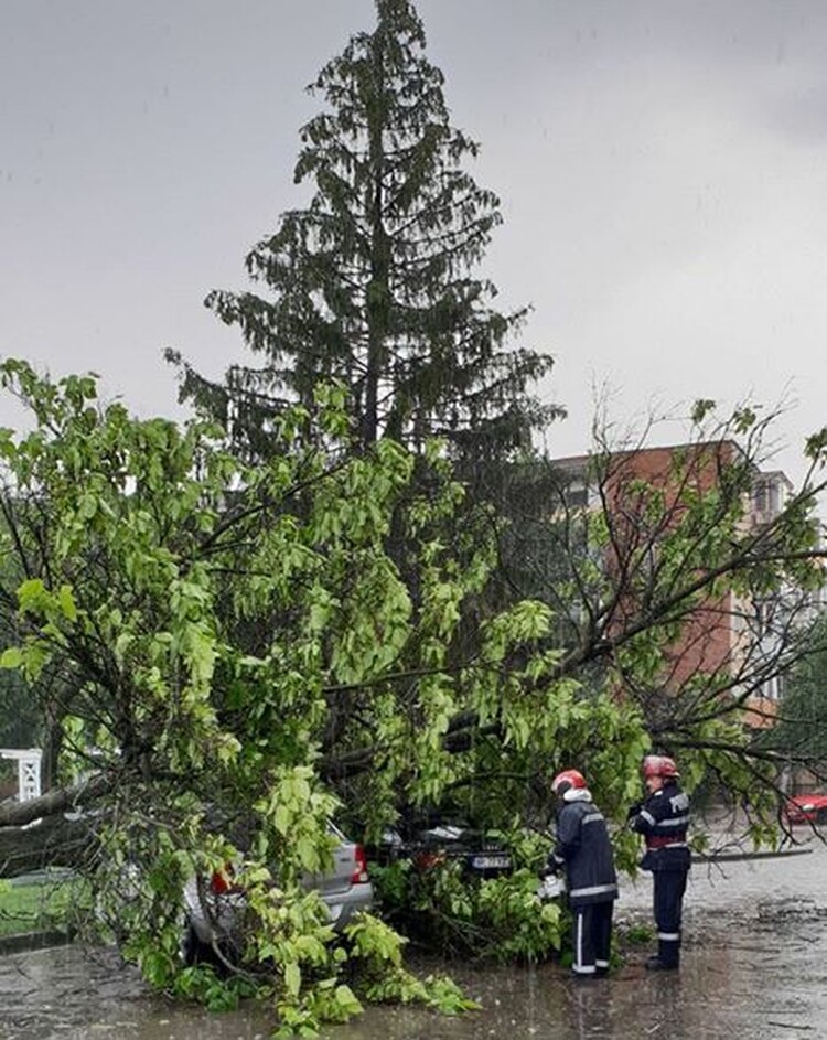 <em>Hír szerkesztése</em> Fákat csavart ki a vihar, autók rongálódtak meg