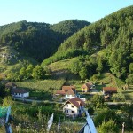 Alváca - fotó: ecotrend.ro