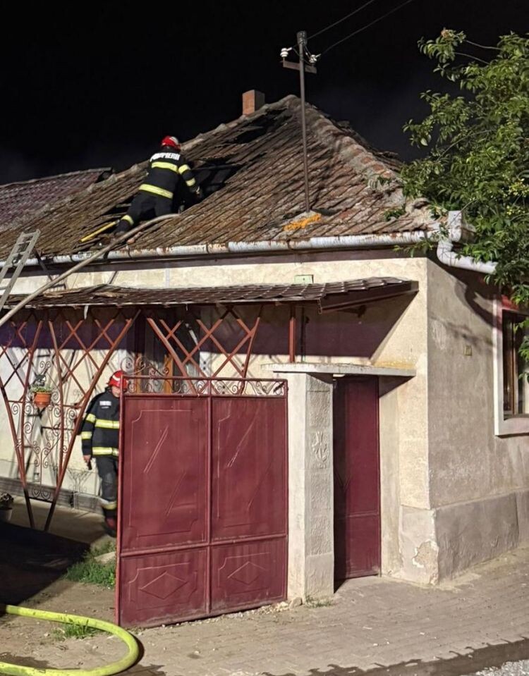 tűz