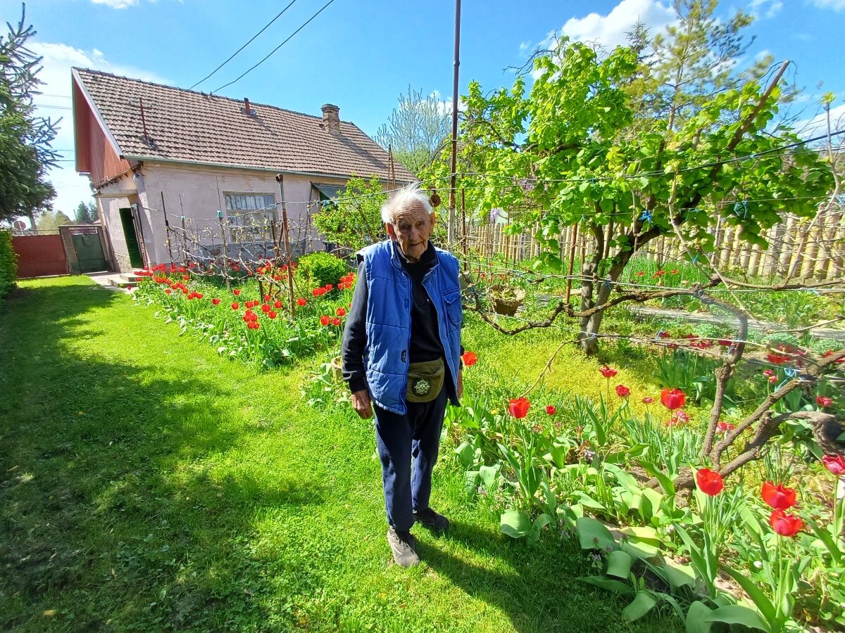Benedek Sándor