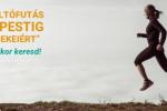 <em>Hír szerkesztése</em> Adománygyűjtő futás indul kedden Dévától Budapestig