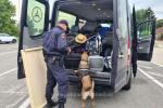 <em>Hír szerkesztése</em> Bekeményítenek a rendőrök a román–magyar határon
