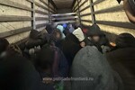 Illegálisan próbáltak átjutni a határon | Fotó: politiadefrontiera.ro