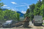 Fák dőlhetnek az úttestre, ezért kell lezárni az utat | Fotó: CNAIR