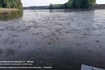 tiszavirágzás