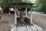 forrás