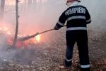 <em>Hír szerkesztése</em> Harminc hektáron égett a tűz Kishalmágy mellett
