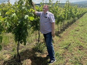 Ménesen ezeréves hagyománya van a szőlő- és bortermelésnek | Fotó: Balla Géza Pincészet