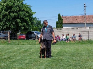 Tóth Attila kutyakiképző és belga juhászkutyája a tavalyi kisiratosi gyereknapon tartott bemutatón | Fotó: Pataky Lehel Zsolt