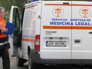 orvosszakértő