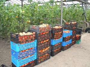 A kép illusztráció | Fotó: Pataky Lehel Zsolt