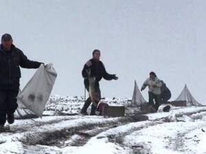 <em>Hír szerkesztése</em> Kétszáz vadnyulat fogtak be [AUDIÓ]