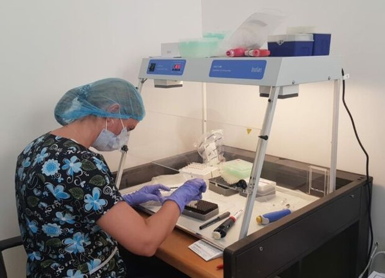 <em>Hír szerkesztése</em> Három Arad megyei halálesetet jelentettek