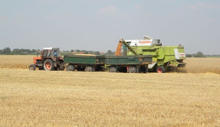 <em>Hír szerkesztése</em> Támogatják a határon túli falugazdász-hálózatot