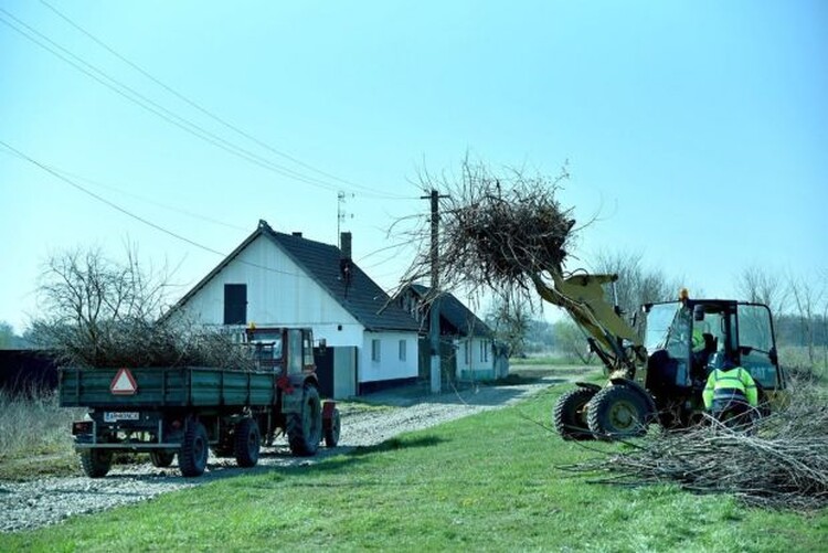 <em>Hír szerkesztése</em> Hétfőtől gyűjtik a gallyakat Pécskán