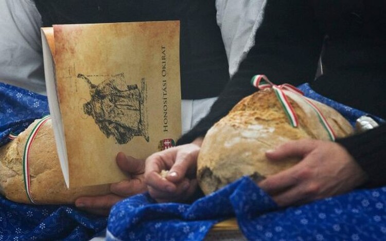 A dokumentációk összeállítása, valamint az okmányok fordítása ingyenes