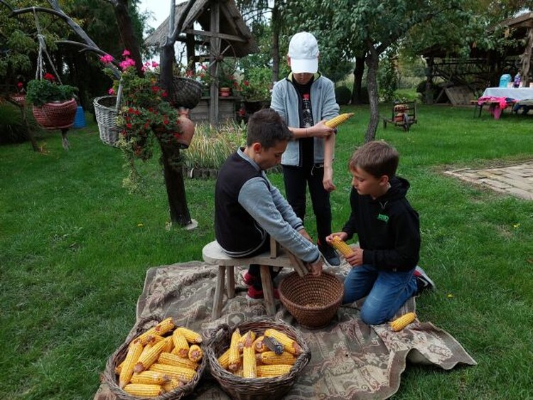 Aradi gyerekek tavaly ősszel a tájházban | Fotó: Pro Move Arad Egyesület