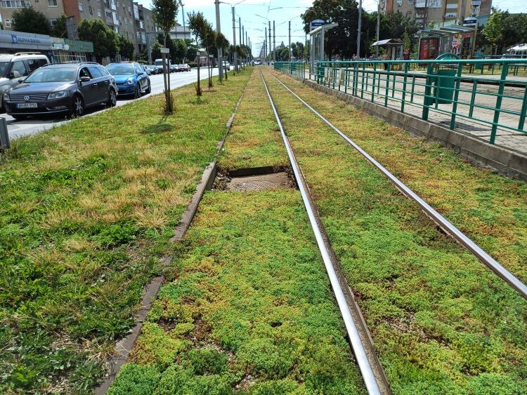 Karbantartás lesz | Fotó: Pataky Lehel Zsolt