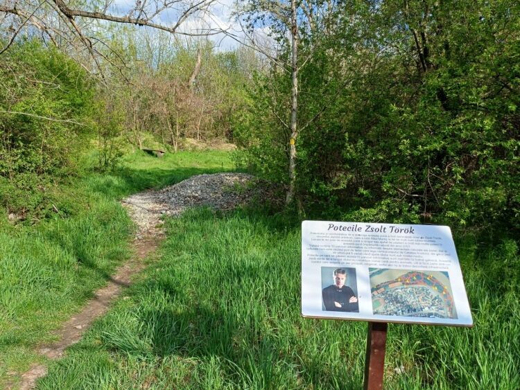 Török Zsolt ösvényei