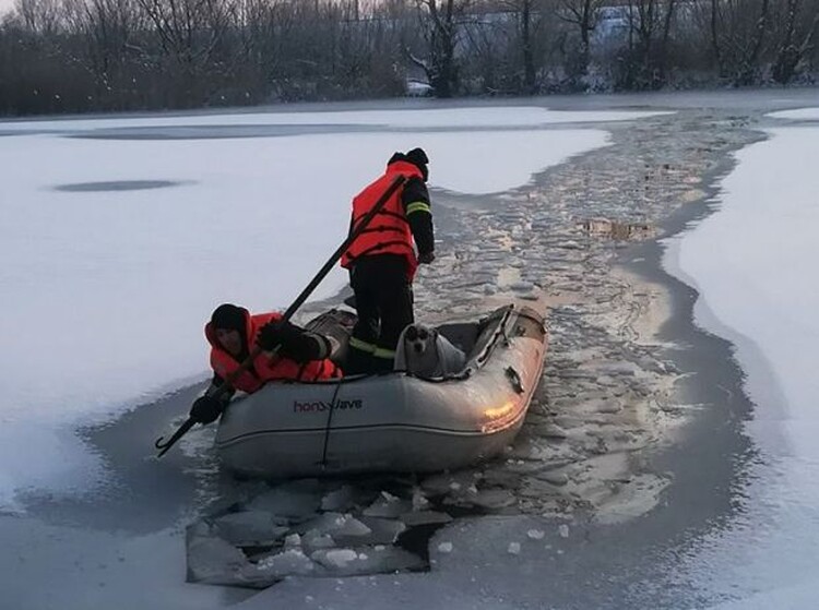 <em>Hír szerkesztése</em> Kutyát mentettek ki a fagyott tóból