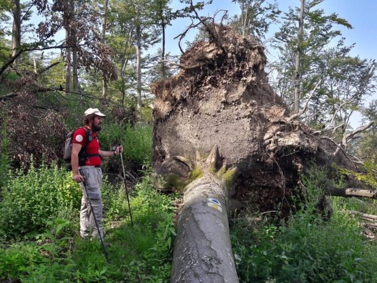 <em>Hír szerkesztése</em> Zárva marad a Menyháza környéki turistautak fele