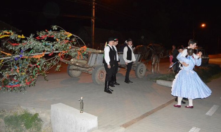 <em>Hír szerkesztése</em> Májusfákat állítottak a fiatalok Pécskán