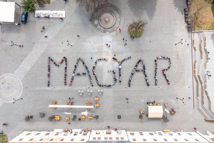 <em>Hír szerkesztése</em> Népszámlálás: átlag feletti a részvétel a magyar lakosú megyékben