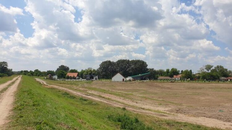 <em>Hír szerkesztése</em> Parkosítanak Pécskán