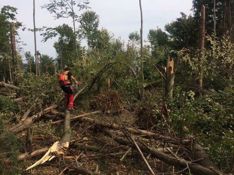 <em>Hír szerkesztése</em> Turistautakat zártak le Menyháza környékén