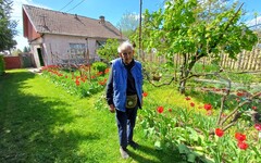 Benedek Sándor