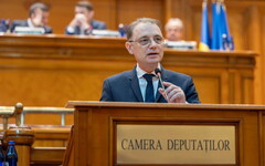 Luca Niculescu
